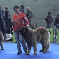 Salzburg Clubschau Mai 06 070 